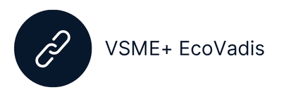 VSME+ EcoVadis